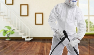 Health Risks Linked to Old Attic Insulation