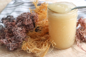 The Vegan's Secret Weapon: Using Frozen Sea Moss for Egg and Dairy Replacement