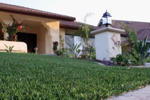 Why Synthetic Turf Grass in Johns Creek, GA Is the Top Choice for Modern Lawns