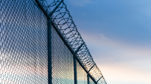 Husky Rack and Wire Velox – A Smart Investment for Growing Businesses