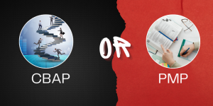 Which Is Better CBAP or PMP?