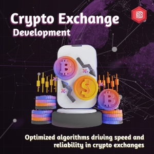 Crypto Exchange Development with DeFi and Centralized Features