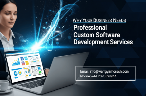 Why Your Business Needs Professional Custom Software Development Services