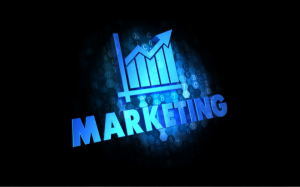 Why Every Business Needs the Best SEO Service Provider in Delhi NCR