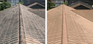 Why You Should Choose Professional Roof Cleaning in Maidstone