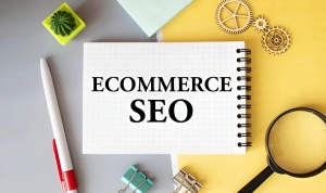 The ROI of Hiring an E-commerce SEO Consultant: Case Studies & Metrics That Matter