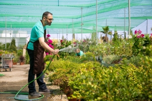 Transform Your Garden with Maintenance Services in Kuwait