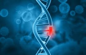 A new CRISPR technology could reshape the future of genetic disease treatment