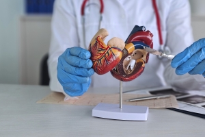 Know Things About TAVI from Best Cardiologists Near Me