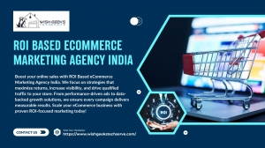 ROI Driven eCommerce Marketing Agency in India