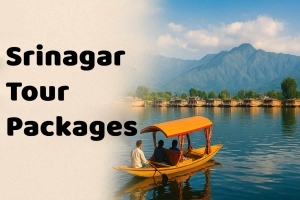Affordable Srinagar Tour Packages for Every Traveler