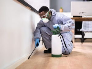 Winning the Battle Against Ants: The Ultimate Guide to Ant Control in Sneads Ferry NC