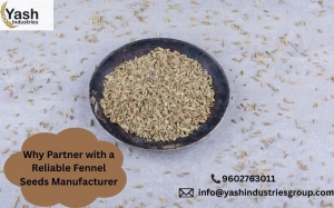 Why Partner with a Reliable Fennel Seeds Manufacturer