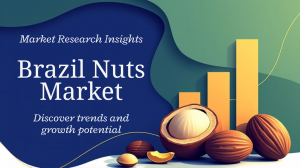 How Will Brazil Nuts Market Evolve in Size, Share, and Growth Trends During 2025–2033?