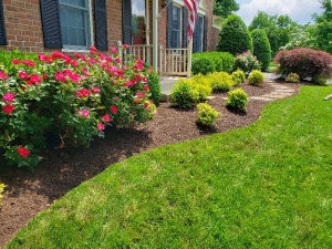 Transforming Outdoor Spaces: The Value of Expert Landscaping in Arlington VA