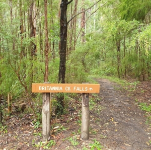 Explore the Wonders of Britannia Creek Cave Geological Reserve