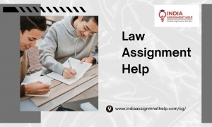 Law Assignment Help: Why Students Trust India Assignment Help for Academic Excellence