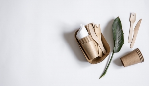 How Bio-Degradable Products Help Fight Plastic Pollution