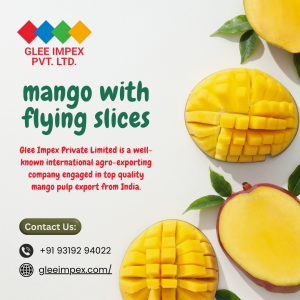 Glee Impex – India's Top Exporter Pioneering Global Trade