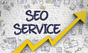 Search Engine Optimization Service in Texas: A Complete Guide for Businesses