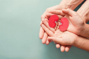 The Role of Supplements in Supporting Kidney Health