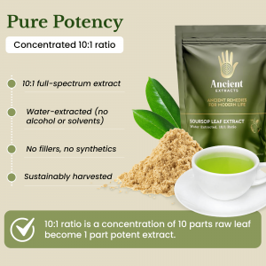 Perfect Matched Soursop Fruit Leaves: Best Pairings, Blends & Brewing Tips