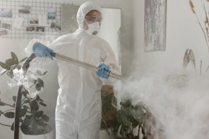 Bed Bugs Heat Treatment Birmingham: How to Eliminate Infestations for Good