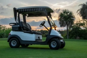 Everything You Need to Know About Golf Cart Parts and Accessories