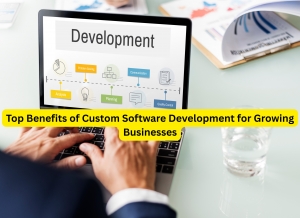 Top Benefits of Custom Software Development for Growing Businesses