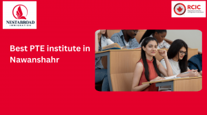 Open Up World Opportunities with Nawanshahr's Top PTE Institute