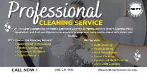 Basement Mold Removal in Rochester NY – Prevention & Safe Solutions