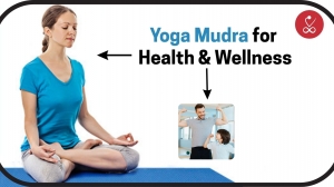 Yoga Mudra – Benefits & How to Practice for Health and Wellness