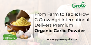 From Farm to Table: How G Grow Agri International Delivers Premium Organic Garlic Powder