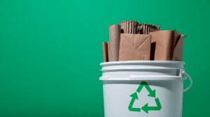 The Cost-Effectiveness of Professional Bin Cleaning for Homeowners