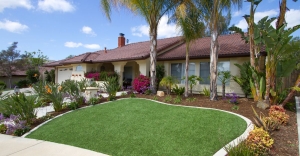 Upgrade Your Arizona Backyard with Artificial Turf