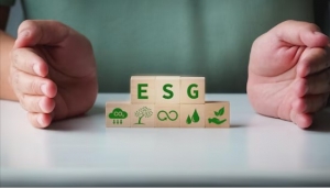 The Role of CSO Consulting in Shaping Sustainable Growth in Australia