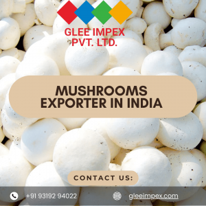 Glee Impex – A Reliable Exporter of Mushrooms and Agro Products in India