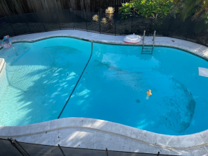 Best Pool Maintenance Services in Florida – Triangle Pool Service