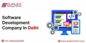 Top Benefits of Hiring a Software Development Company in Delhi for Startups and Enterprises