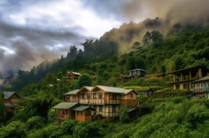 Complete Guide to Kolakham Accommodation Homestay for Nature Lovers