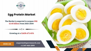 Egg Protein Market Overview and Future Demand 2034