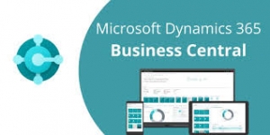 What Makes Microsoft Dynamics 365 Sales a Game-Changer for B2B Sellers?