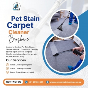 Carpet Cleaning North Brisbane Apartments: Unique Challenges