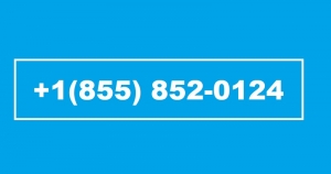 PayPal: The Best App for Large Amount Money Transfer