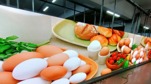 Indoor Fixed LED Display Screen Fast Delivery