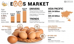 Eggs Market Size, Share, Comprehensive Evaluation, 2032