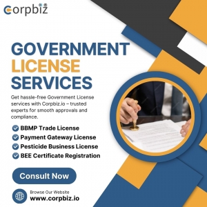 How to Apply for Government Licenses Without Stress