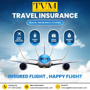 Grow Your Travel Agency with The Visa Monster’s Best B2B Visa Booking Services