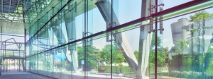 Modern Office Designs in Oman: Glass Partition for Offices & Stylish Tinted Glass Doors