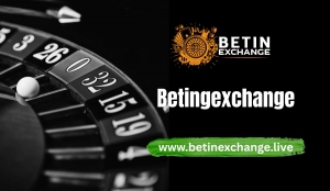 Betinexchange Explained: Your Complete Companion for Digital Sports and Fun